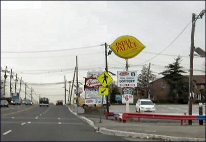 India Palace Oak Tree Rd Edison
