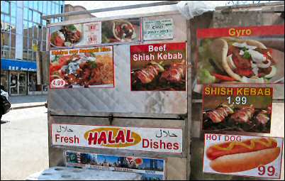 halal dishes food cart on 74th st in jackson heights