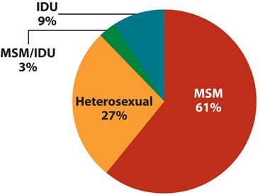 HIV Statistics for American Men Having Sex with Men - SearchIndia.com Blog