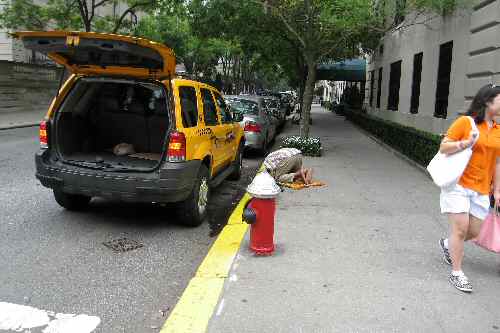 Muslim Cab Driver Praying on NYC Sidewalk