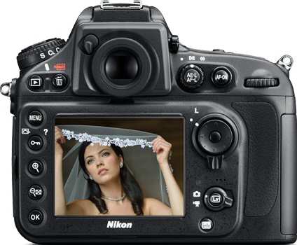 Nikon D800 D-SLR Camera Back