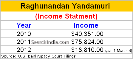 Raghunandan Yandamuri's Annual Income Statements