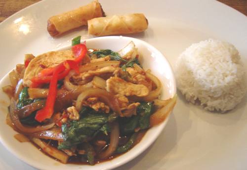 Toon Thai Basil Chicken - Image © SearchIndia.com